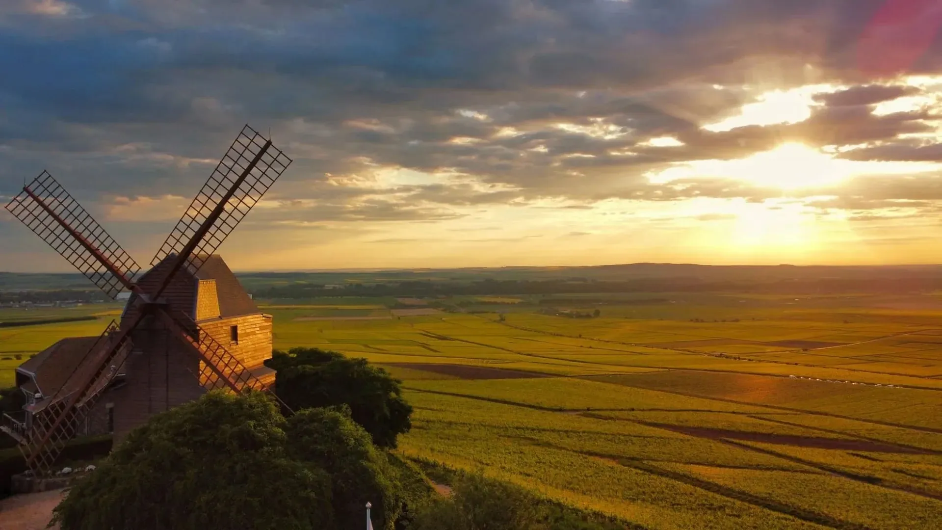 Le moulin de Verzenay au coucher du soleil, au-dessus des vignes
